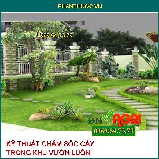 KỸ THUẬT CHĂM SÓC CÂY TRONG KHU VƯỜN LUÔN XANH TƯƠI