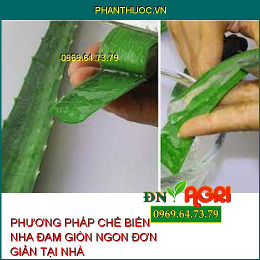 PHƯƠNG PHÁP CHẾ BIẾN NHA ĐAM GIÒN NGON ĐƠN GIẢN TẠI NHÀ