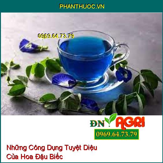 Những Công Dụng Tuyệt Diệu Của Hoa Đậu Biếc 