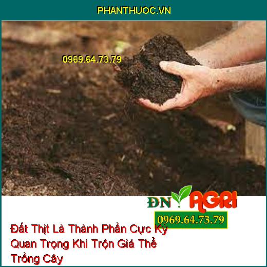 Đất Thịt Là Thành Phần Cực Kỳ Quan Trọng Khi Trộn Giá Thể Trồng Cây