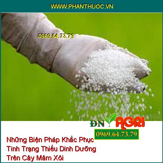 Những Biện Pháp Khắc Phục Tình Trạng Thiếu Dinh Dưỡng Trên Cây Mâm Xôi