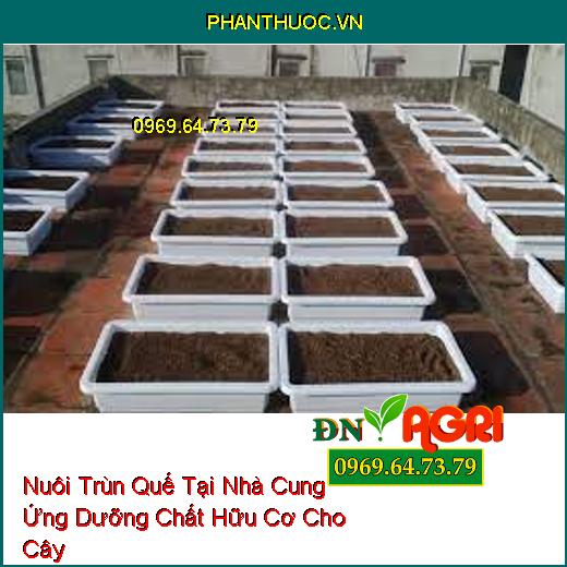 Các Hình Thức Nuôi Trùn Quế Tại Nhà Cung Ứng Dưỡng Chất Hữu Cơ Cho Cây