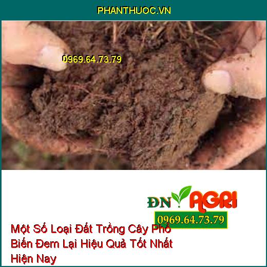 Một Số Loại Đất Trồng Cây Phổ Biến Đem Lại Hiệu Quả Tốt Nhất Hiện Nay