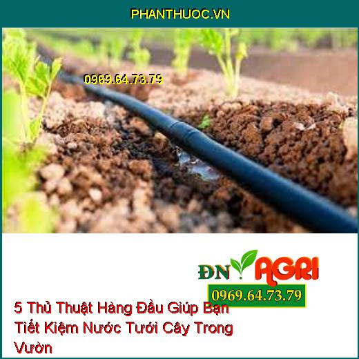 5 Thủ Thuật Hàng Đầu Giúp Bạn Tiết Kiệm Nước Tưới Cây Trong Vườn 