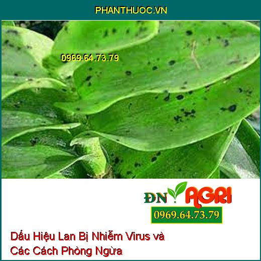 Dấu Hiệu Lan Bị Nhiễm Virus và Các Cách Phòng Ngừa