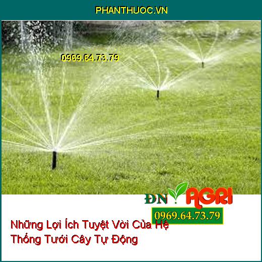 Những Lợi Ích Tuyệt Vời Của Hệ Thống Tưới Cây Tự Động