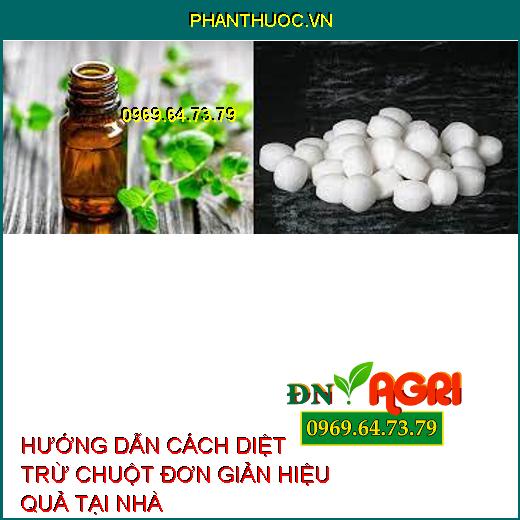 HƯỚNG DẪN CÁCH DIỆT TRỪ CHUỘT ĐƠN GIẢN HIỆU QUẢ TẠI NHÀ