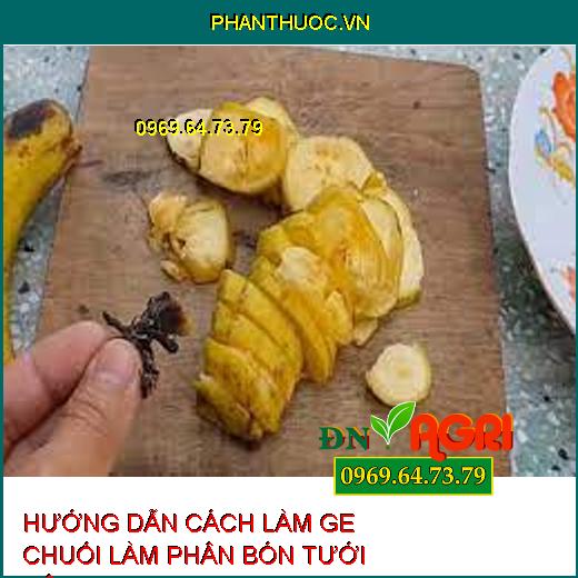 HƯỚNG DẪN CÁCH LÀM GE CHUỐI LÀM PHÂN BÓN TƯỚI CÂY 