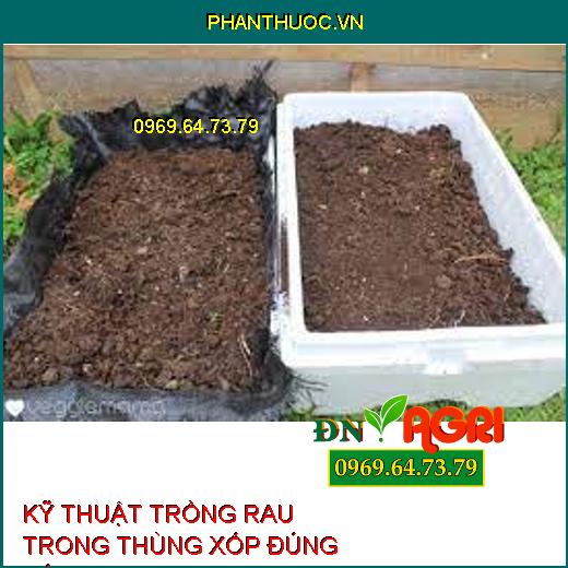 KỸ THUẬT TRỒNG RAU TRONG THÙNG XỐP ĐÚNG CÁCH ĐỂ RAU XANH, SẠCH