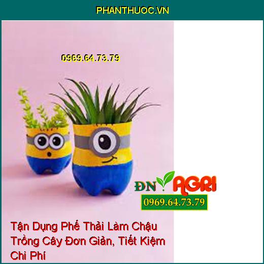 Tận Dụng Phế Thải Làm Chậu Trồng Cây Đơn Giản, Tiết Kiệm Chi Phí