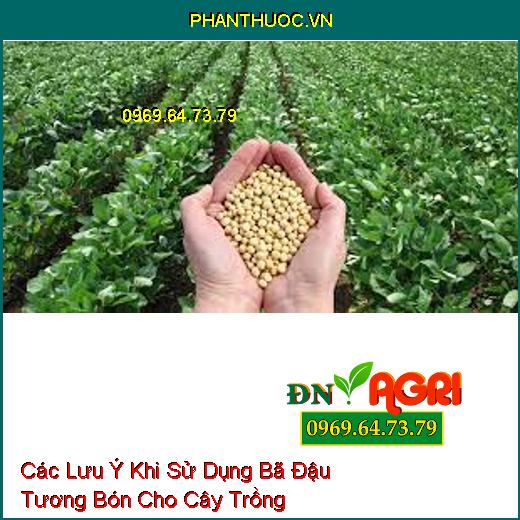 Các Lưu Ý Khi Sử Dụng Bã Đậu Tương Bón Cho Cây Trồng