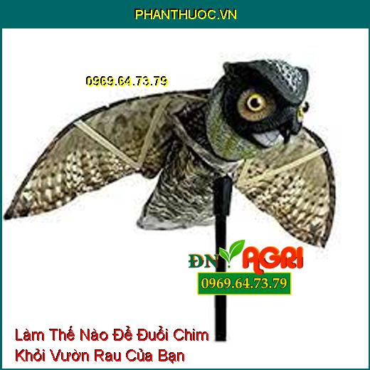 Làm Thế Nào Để Đuổi Chim Khỏi Vườn Rau Của Bạn