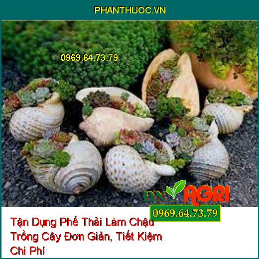 Tận Dụng Phế Thải Làm Chậu Trồng Cây Đơn Giản, Tiết Kiệm Chi Phí