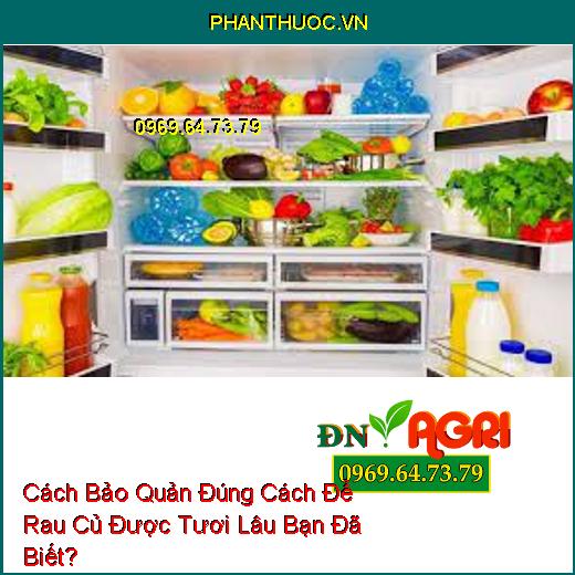 Cách Bảo Quản Đúng Cách Để Rau Củ Được Tươi Lâu Bạn Đã Biết?