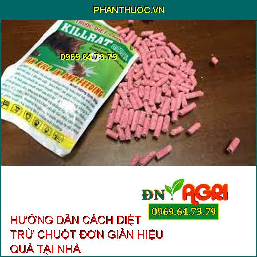 HƯỚNG DẪN CÁCH DIỆT TRỪ CHUỘT ĐƠN GIẢN HIỆU QUẢ TẠI NHÀ