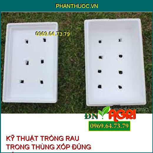 KỸ THUẬT TRỒNG RAU TRONG THÙNG XỐP ĐÚNG CÁCH ĐỂ RAU XANH, SẠCH