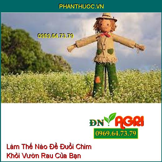 Làm Thế Nào Để Đuổi Chim Khỏi Vườn Rau Của Bạn