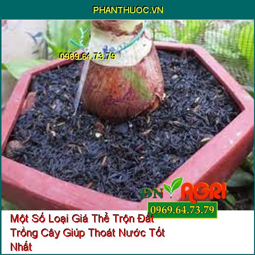 Một Số Loại Giá Thể Trộn Đất Trồng Cây Giúp Thoát Nước Tốt Nhất