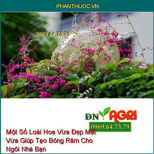 Một Số Loài Hoa Vừa Đẹp Mắt Vừa Giúp Tạo Bóng Râm Cho Ngôi Nhà Bạn