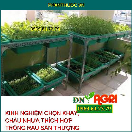 KINH NGHIỆM CHỌN KHAY, CHẬU NHỰA THÍCH HỢP TRỒNG RAU SÂN THƯỢNG