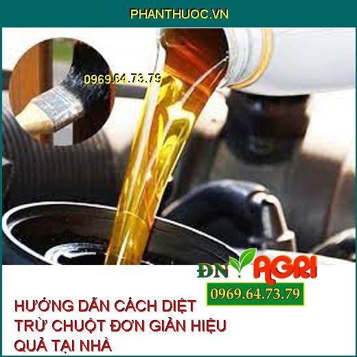 HƯỚNG DẪN CÁCH DIỆT TRỪ CHUỘT ĐƠN GIẢN HIỆU QUẢ TẠI NHÀ