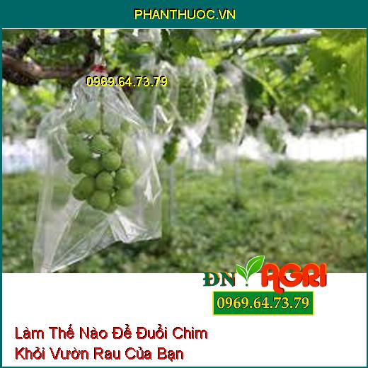 Làm Thế Nào Để Đuổi Chim Khỏi Vườn Rau Của Bạn