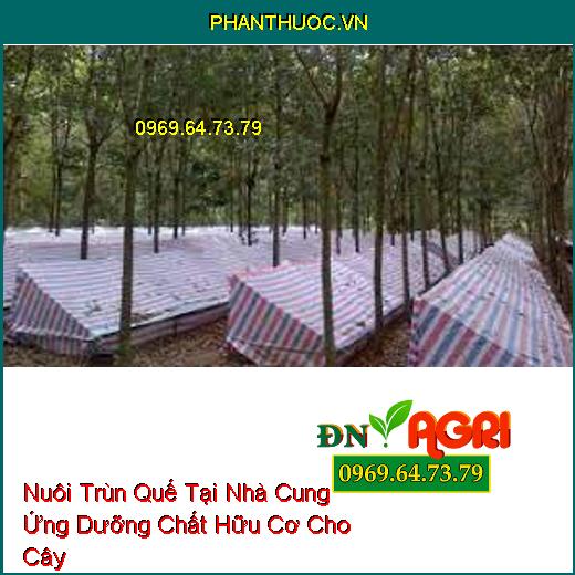 Các Hình Thức Nuôi Trùn Quế Tại Nhà Cung Ứng Dưỡng Chất Hữu Cơ Cho Cây