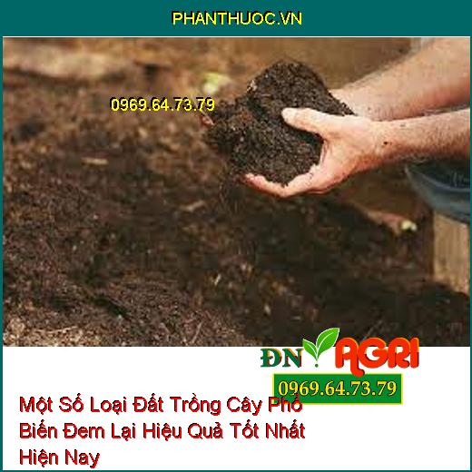 Một Số Loại Đất Trồng Cây Phổ Biến Đem Lại Hiệu Quả Tốt Nhất Hiện Nay