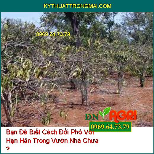 Bạn Đã Biết Cách Đối Phó Với Hạn Hán Trong Vườn Nhà Chưa ?