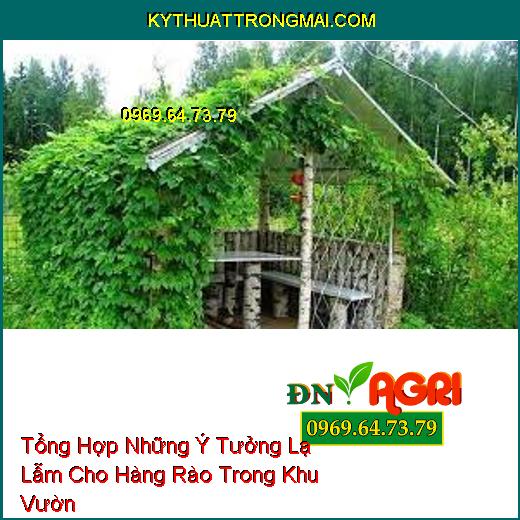 Tổng Hợp Những Ý Tưởng Lạ Lẫm Cho Hàng Rào Trong Khu Vườn 