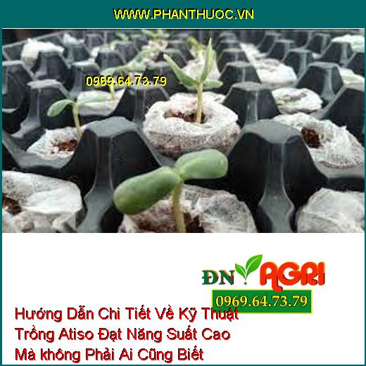 Hướng Dẫn Chi Tiết Về Kỹ Thuật Trồng Atiso Đạt Năng Suất Cao Mà không Phải Ai Cũng Biết