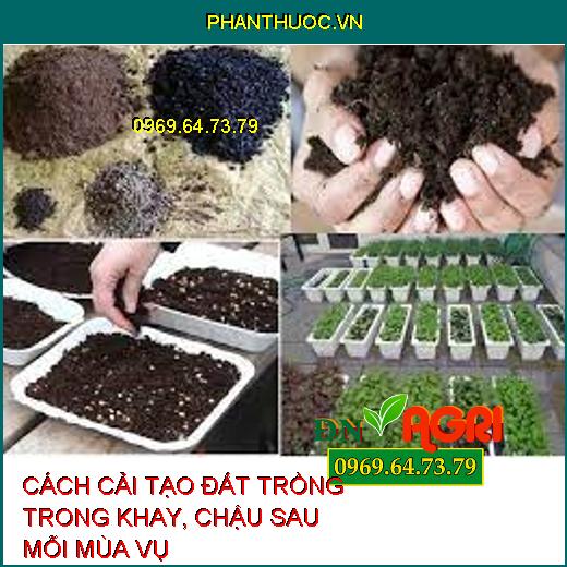 CÁCH CẢI TẠO ĐẤT TRỒNG TRONG KHAY, CHẬU SAU MỖI MÙA VỤ