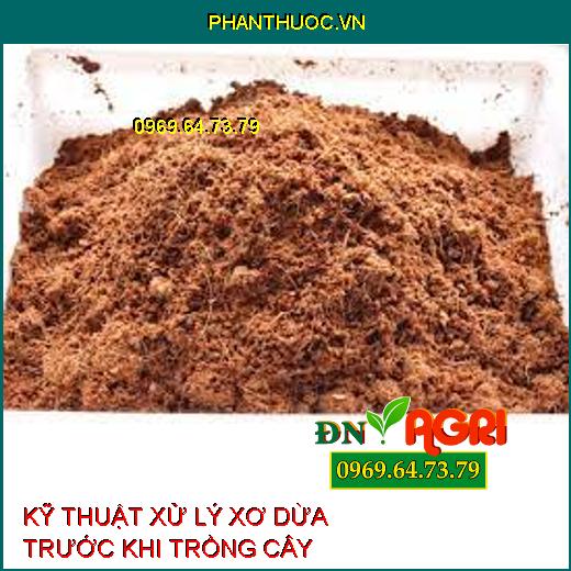 KỸ THUẬT XỬ LÝ XƠ DỪA TRƯỚC KHI TRỒNG CÂY