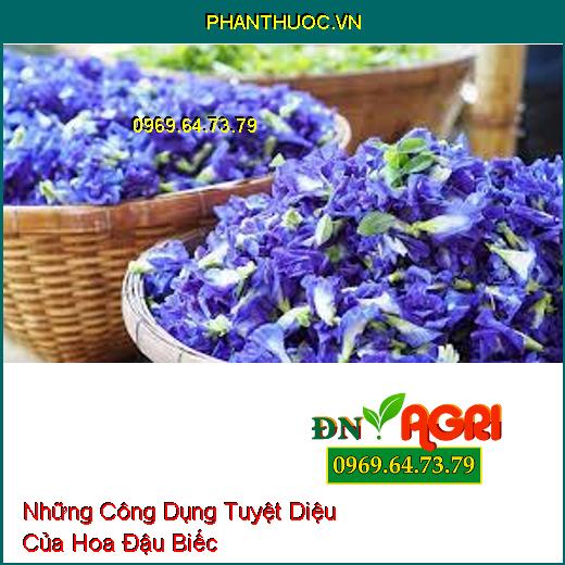 Những Công Dụng Tuyệt Diệu Của Hoa Đậu Biếc 