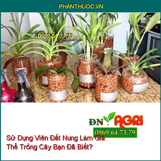 Sử Dụng Viên Đất Nung Làm Giá Thể Trồng Cây Bạn Đã Biết?