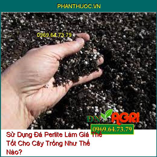 Sử Dụng Đá Perlite Làm Giá Thể Tốt Cho Cây Trồng Như Thế Nào?