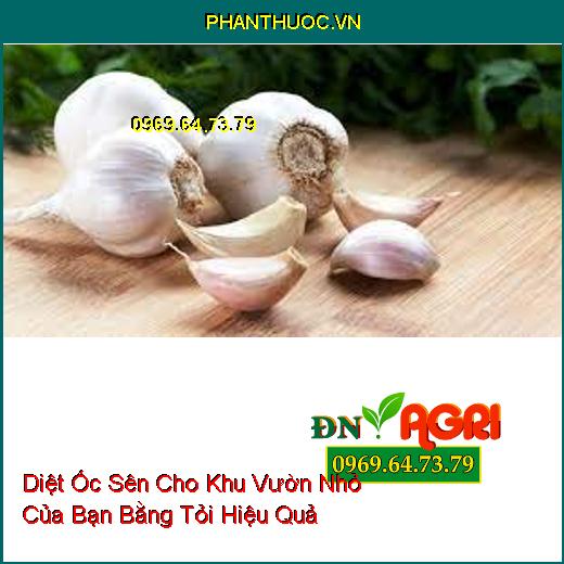 Diệt Ốc Sên Cho Khu Vườn Nhỏ Của Bạn Bằng Tỏi Hiệu Quả