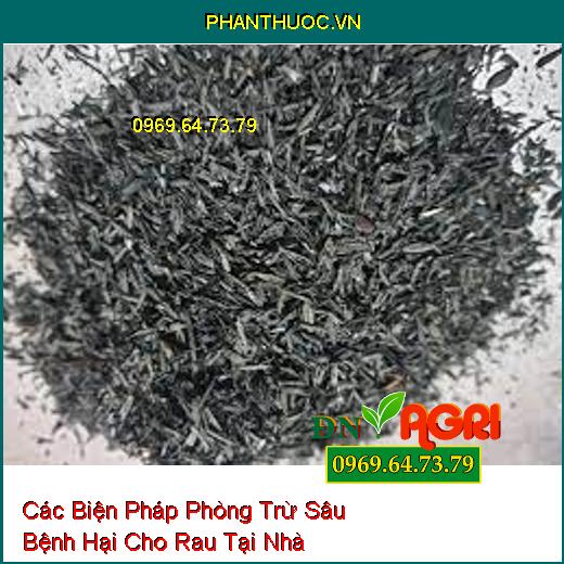 Các Biện Pháp Phòng Trừ Sâu Bệnh Hại Cho Rau Tại Nhà