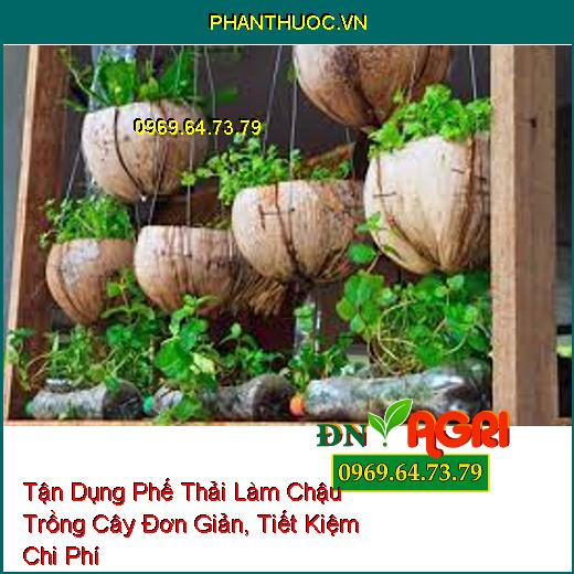 Tận Dụng Phế Thải Làm Chậu Trồng Cây Đơn Giản, Tiết Kiệm Chi Phí