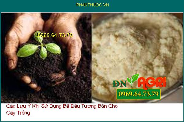 Các Lưu Ý Khi Sử Dụng Bã Đậu Tương Bón Cho Cây Trồng