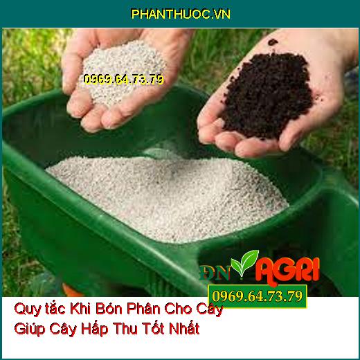 5 Quy tắc Khi Bón Phân Cho Cây Giúp Cây Hấp Thu Tốt Nhất