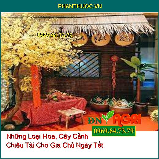 Những Loại Hoa, Cây Cảnh Chiêu Tài Cho Gia Chủ Ngày Tết