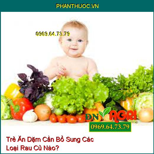 Trẻ Ăn Dặm Cần Bổ Sung Các Loại Rau Củ Nào?