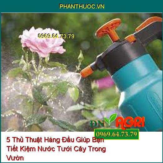 5 Thủ Thuật Hàng Đầu Giúp Bạn Tiết Kiệm Nước Tưới Cây Trong Vườn 