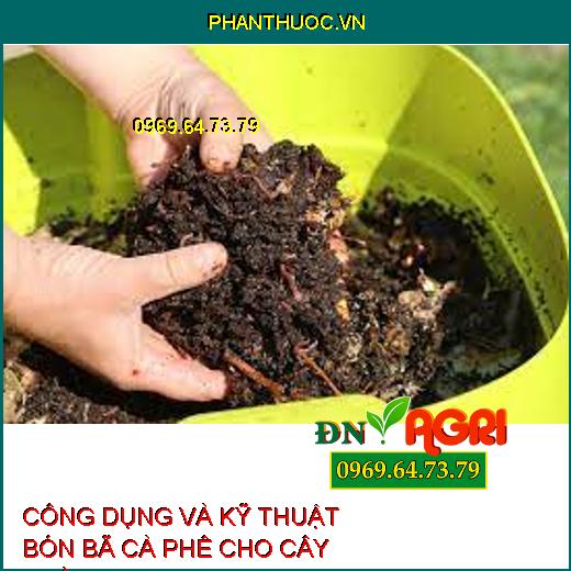 CÔNG DỤNG VÀ KỸ THUẬT BÓN BÃ CÀ PHÊ CHO CÂY TRỒNG 