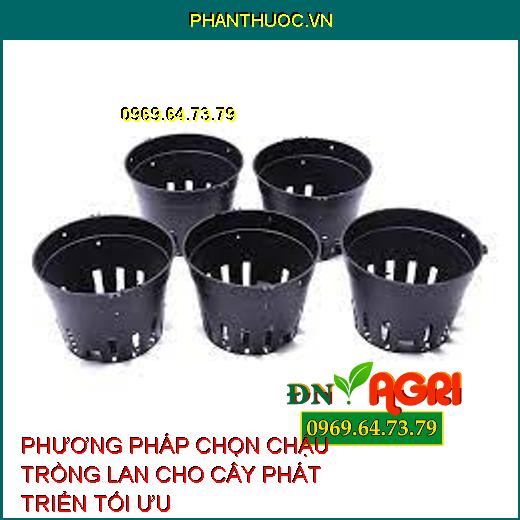 PHƯƠNG PHÁP CHỌN CHẬU TRỒNG LAN CHO CÂY PHÁT TRIỂN TỐI ƯU