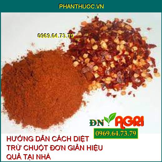 HƯỚNG DẪN CÁCH DIỆT TRỪ CHUỘT ĐƠN GIẢN HIỆU QUẢ TẠI NHÀ