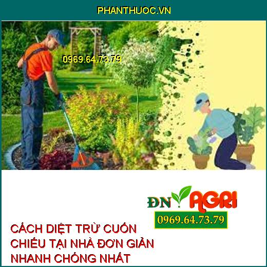 CÁCH DIỆT TRỪ CUỐN CHIẾU TẠI NHÀ ĐƠN GIẢN NHANH CHÓNG NHẤT