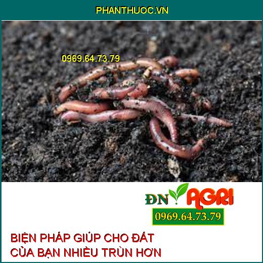 BIỆN PHÁP GIÚP CHO ĐẤT CỦA BẠN NHIỀU TRÙN HƠN