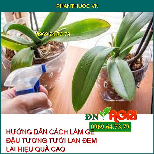 HƯỚNG DẪN CÁCH LÀM GE ĐẬU TƯƠNG TƯỚI LAN ĐEM LẠI HIỆU QUẢ CAO